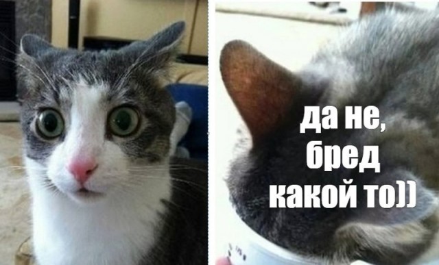 Китай строит новый город, Сюнъань