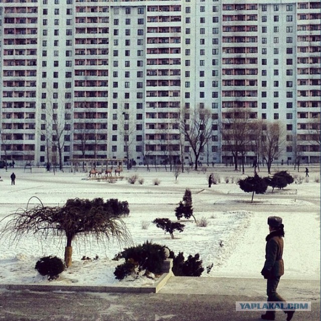 Северная Корея и Instagramm