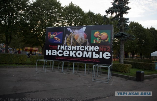 Умирающий ВДНХ