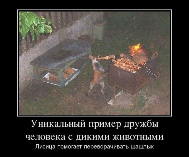 Словили рыбку ... и теперь фото на память