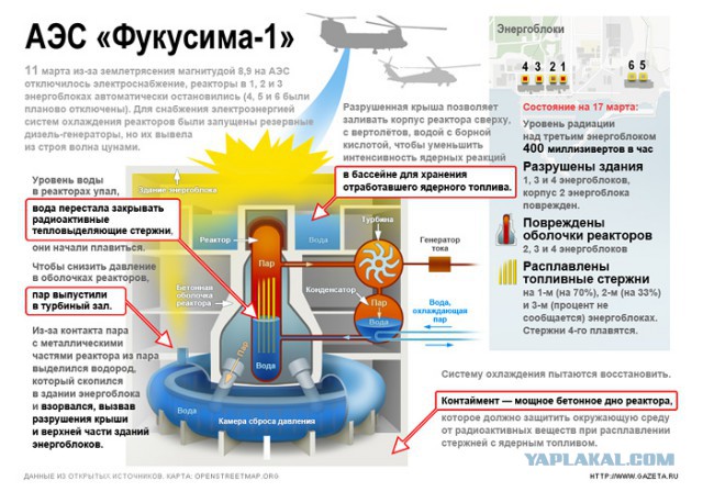 В Южно-китайском море рыбак поймал «бронированную»