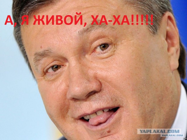 Виктор Янукович в Ростове-на-Дону