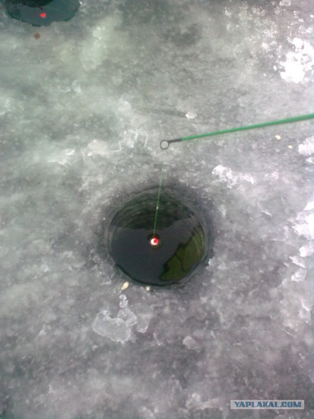 Зимняя рыбалка 2014
