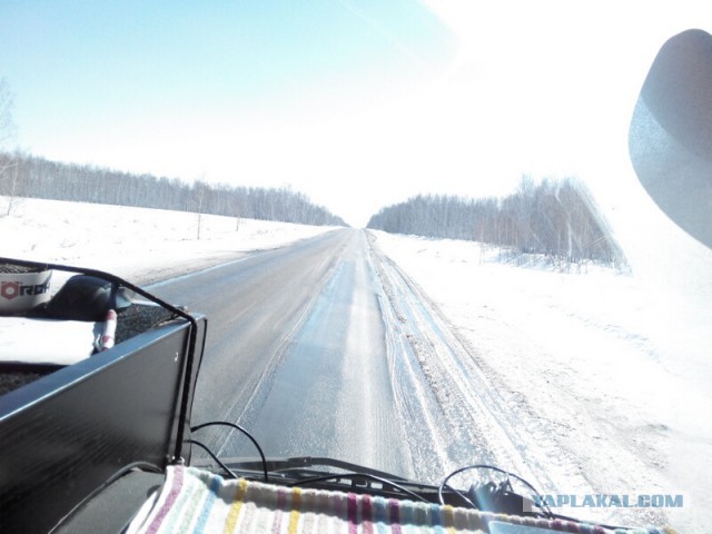 Озеленение Владивостока.