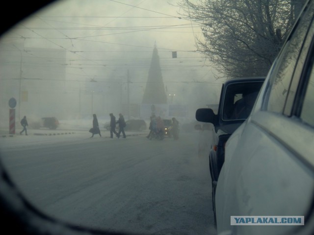 15 любительских фотографий