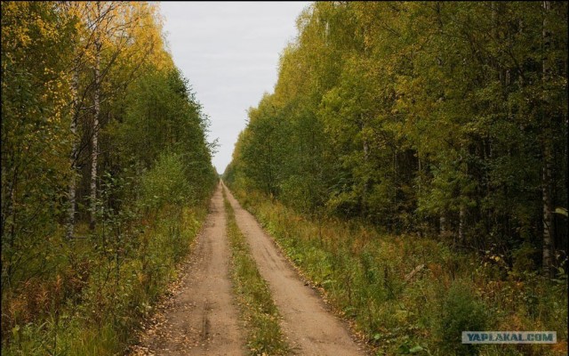 Заброшенная колония в Архангельской обл.