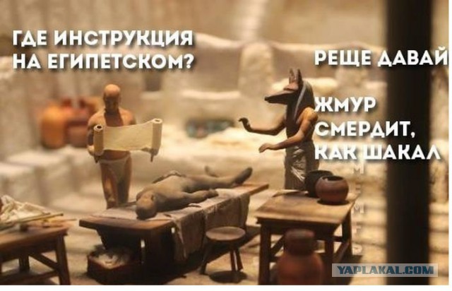 Веселое из сети