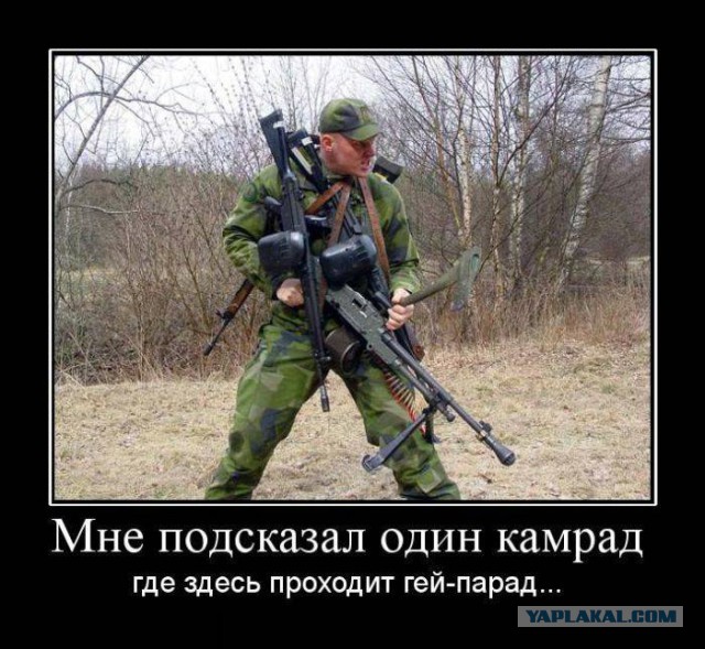 Картинок из сети немножко