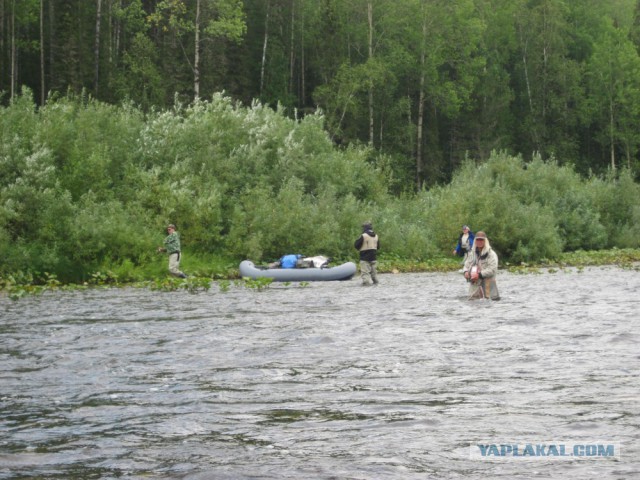 Сибирь 2015