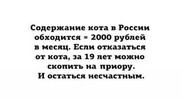 Картинки на пятницу