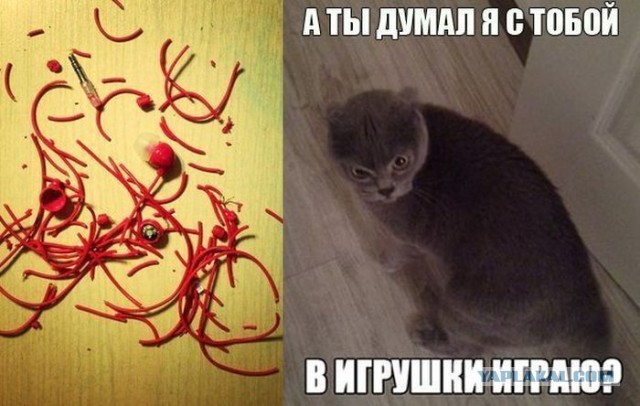 Веселые картинки.