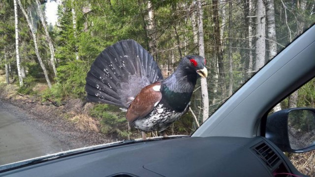 Подборка интересных и веселых фото