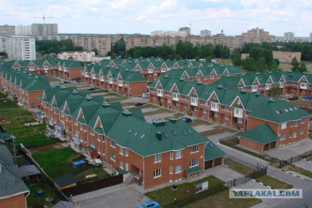 Цены на сыр