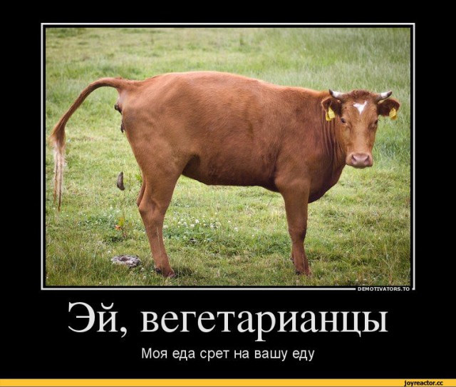 Самое страшное чудовище живёт в зеркале.