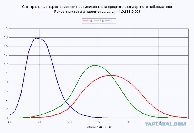 свет во тьме (про фонарики)