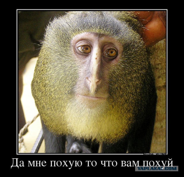 20 новых животных XXI века
