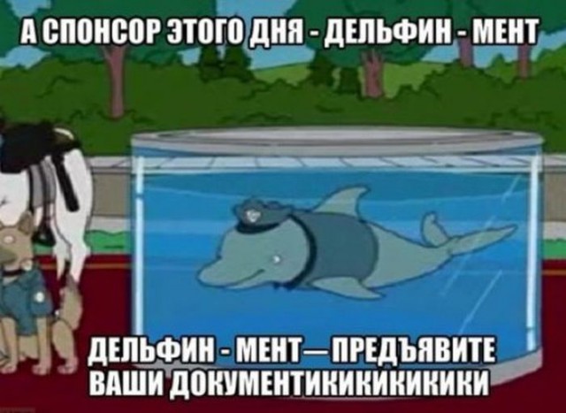 Подборка интересных и веселых картинок