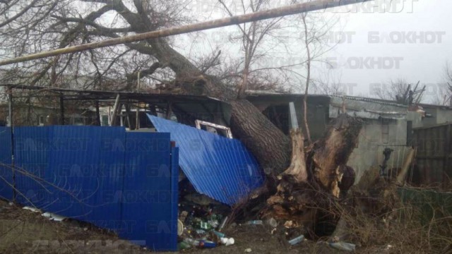 В Волгодонском районе Ростовской области сильный ветер.