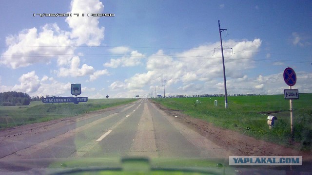 Об июньских грибах Оренбуржья.