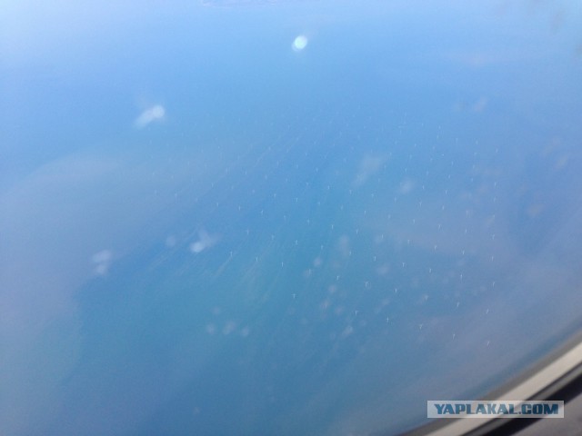 Украина в Лондоне и еще 100 фотографий из Англии