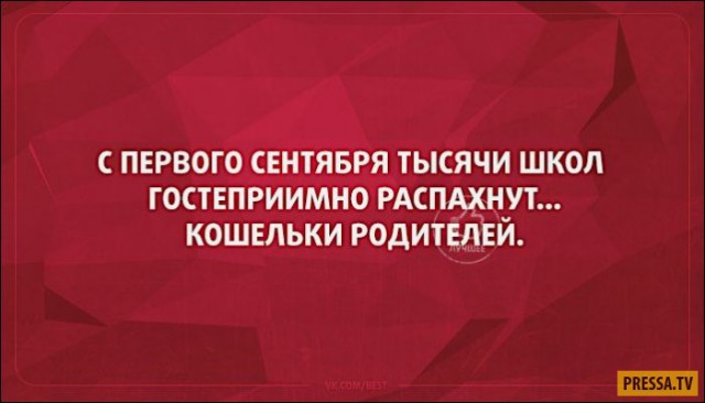 Прикольные открытки для любителей сарказма