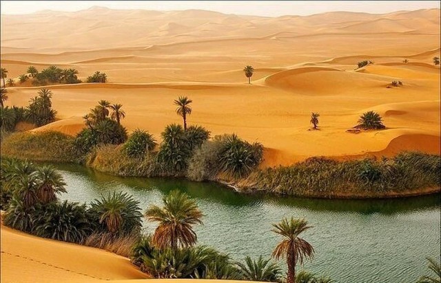 Просто Природа