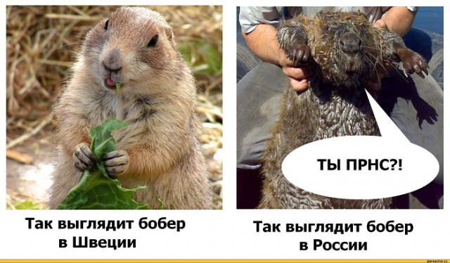 Зря вы это всё...