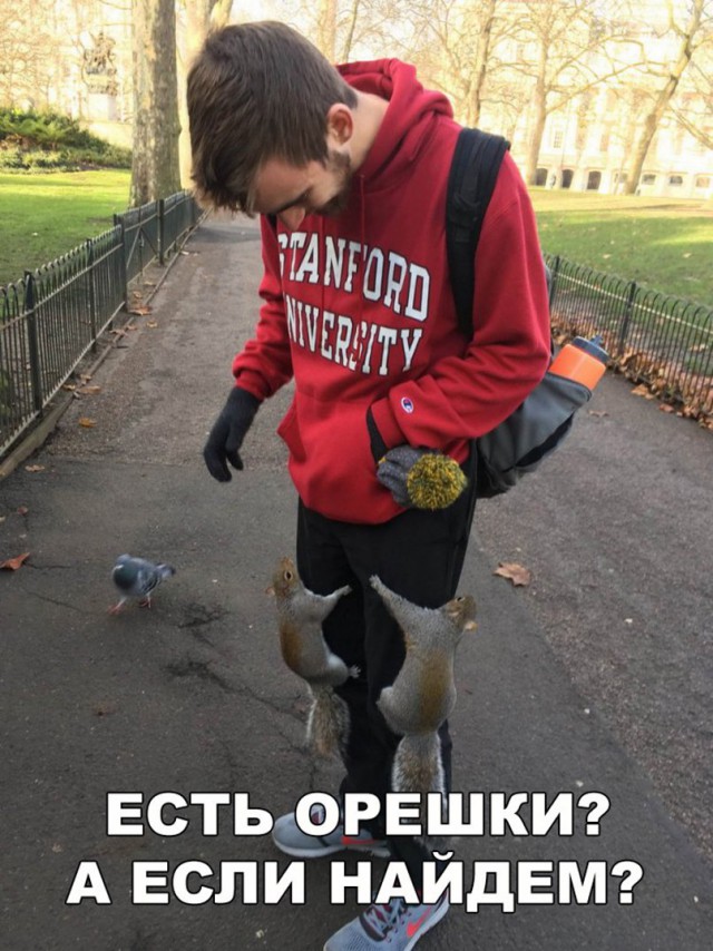 Нестандартный юмор