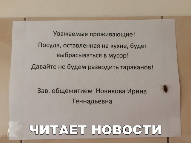 Нестандартный юмор