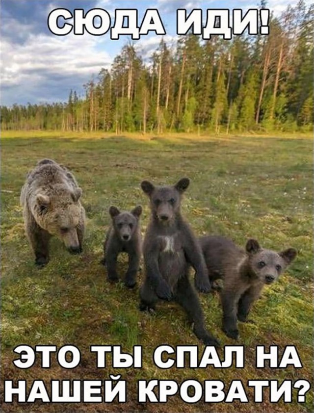 Эй, стахановец, заканчивай работу, погнали отдыхать!