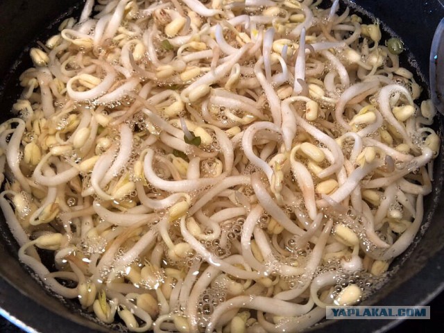 Черемша - полезная и вкусная:)