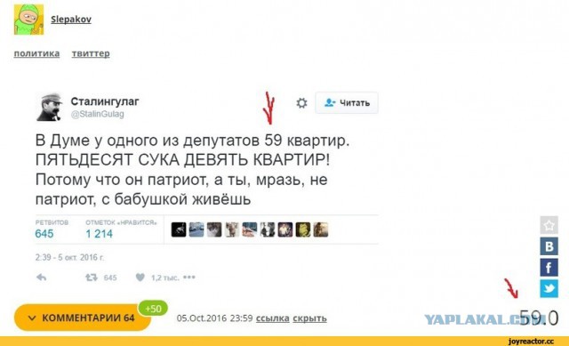 Мизулина оправдалась за живущего за границей сына. «Так вышло»