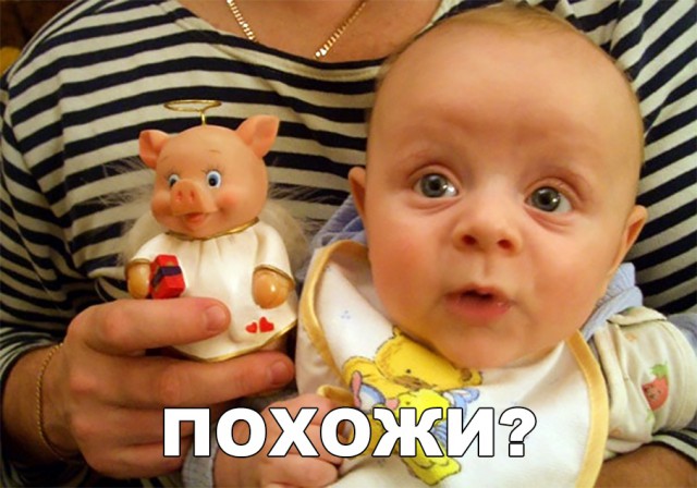 Нестандартный юмор