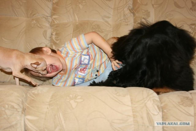 Лучшие друзья навсегда