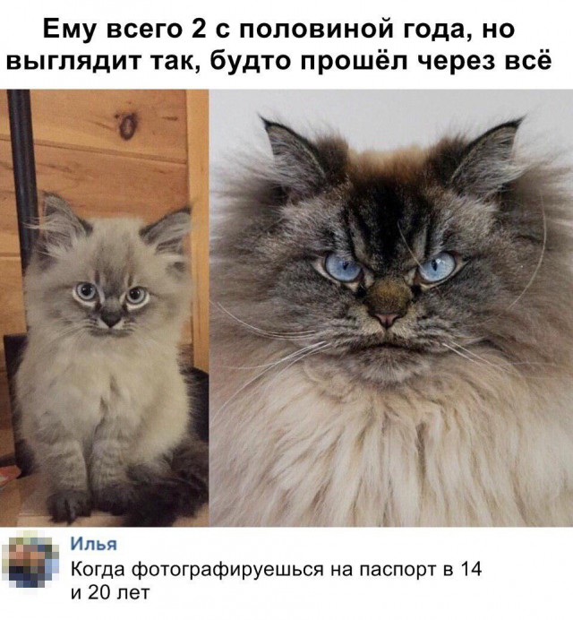 Нас накрывает мощная доза