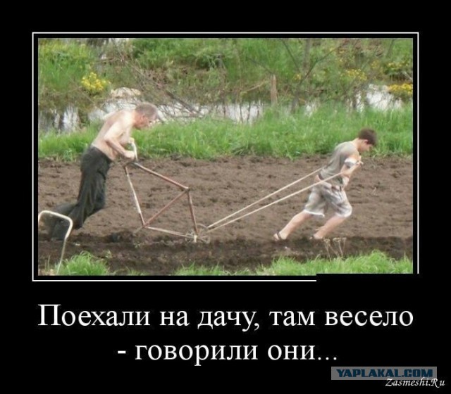 Отели на российских курортах оказались дороже зарубежных