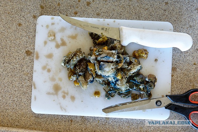 Биск из речных раков