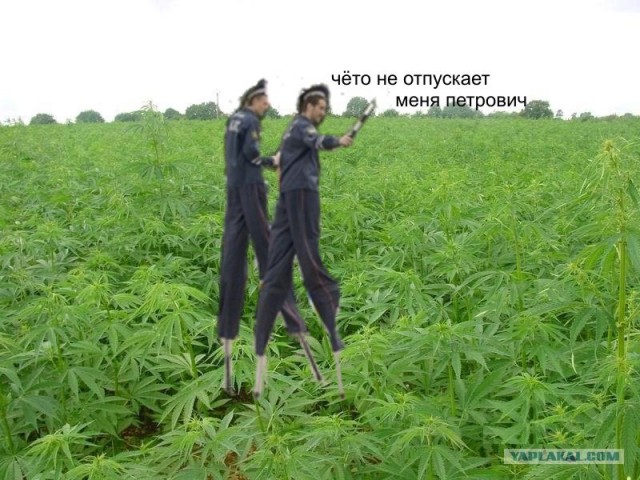 Клоуны в москве