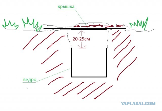 Завелась семья кротов!