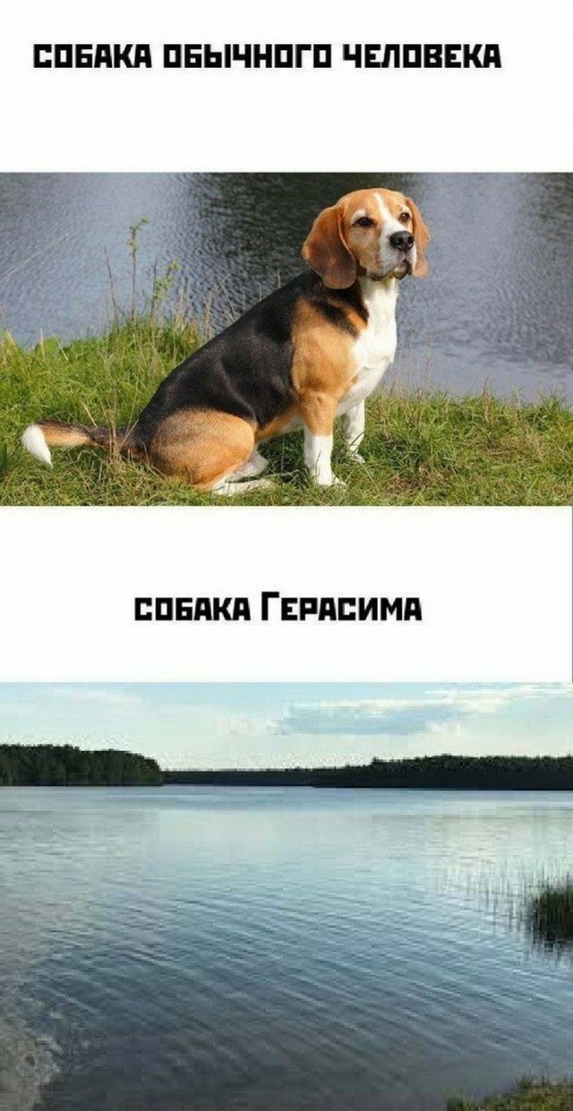 Подборка баянов