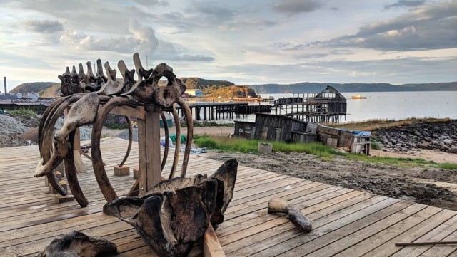 Наше море. Шикарные виды, пустые пляжи, гостеприимные хозяева