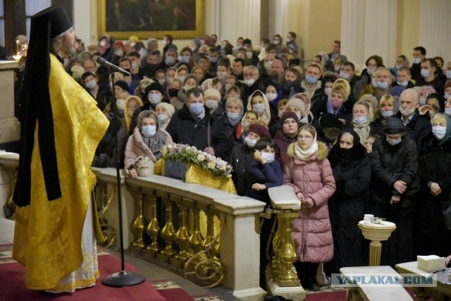 Пандемия. Коронавирус. Россия и мир. Последняя информация. Часть 20
