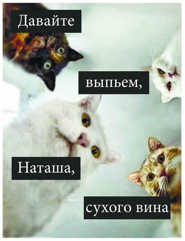 Мемы про Наташу