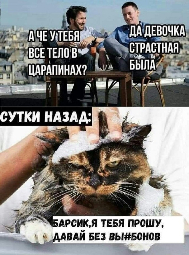 Картинки с надписями и всякие жизненные фразы