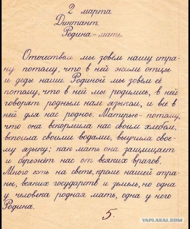 Надо вернуть урок чистописания. В начальные классы