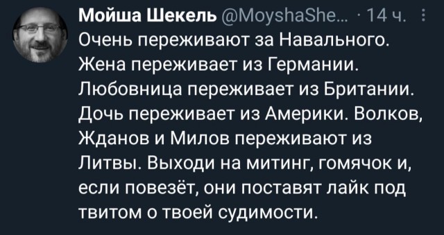 Навальный стал лауреатом немецкой премии за вклад в свободу СМИ