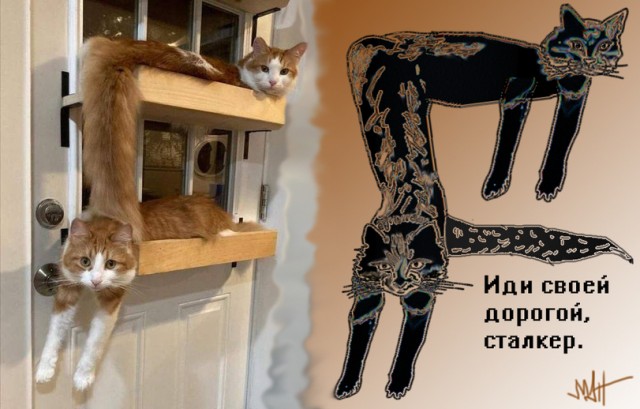 Баянисто-небаянистый юмор 6.12.21