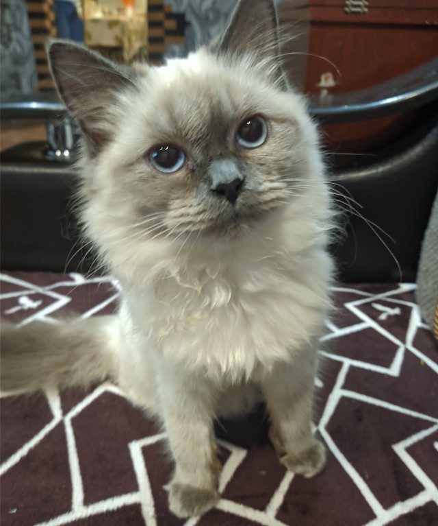 Вторник. Котэ. Пора