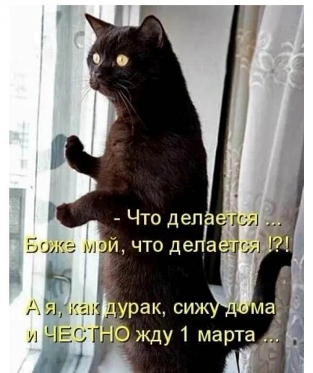 Бредзона