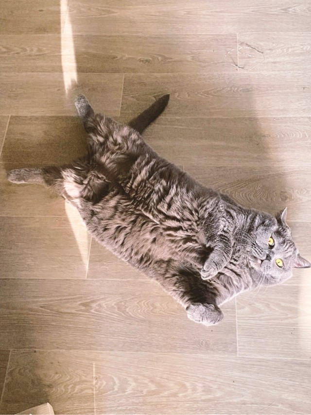 Котовторниковское